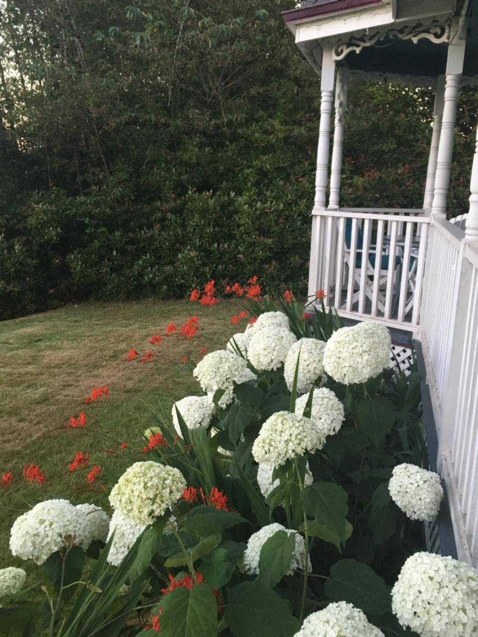 Tayberry Cottage Puyallup Εξωτερικό φωτογραφία